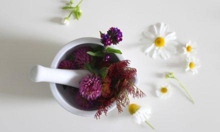 Arthrose mit Naturheilmitteln entgegenwirken: Geht das? 