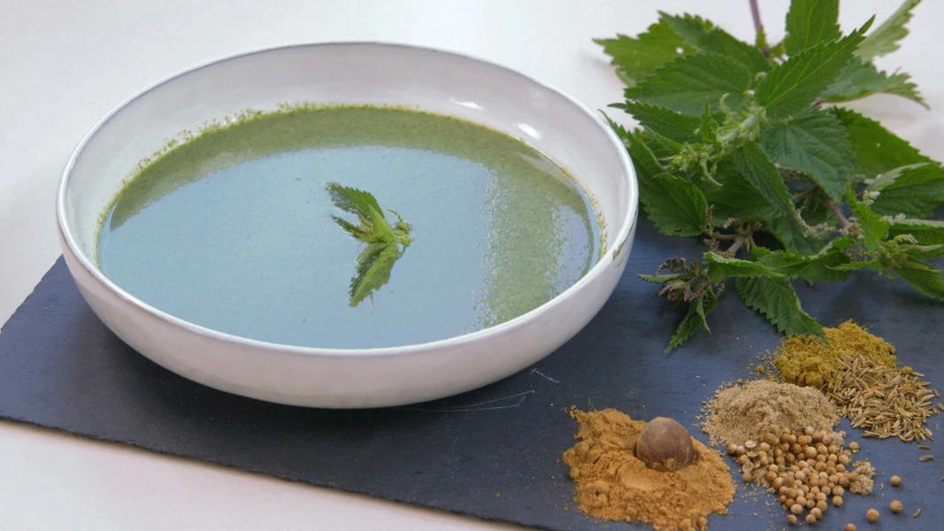 Brennnessel-Suppe